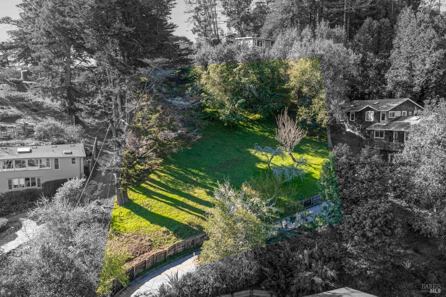 55 Mono Way Mill Valley CA 94941