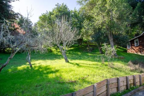 55 Mono Way Mill Valley CA 94941