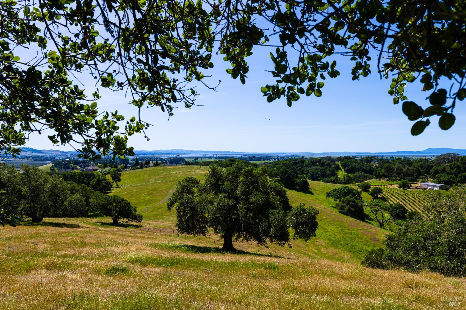 1247 Foster Road Napa CA 94558