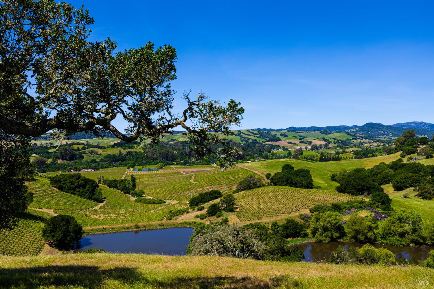 1247 Foster Road Napa CA 94558