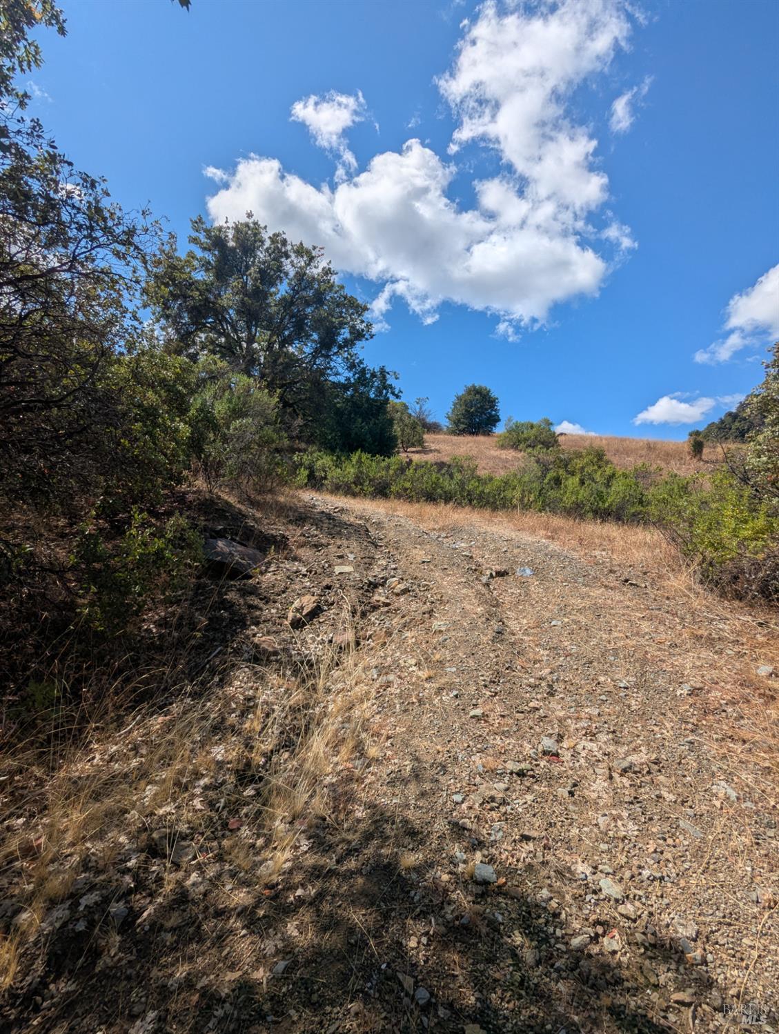 59202 George Washington Rock Road Laytonville CA 95585