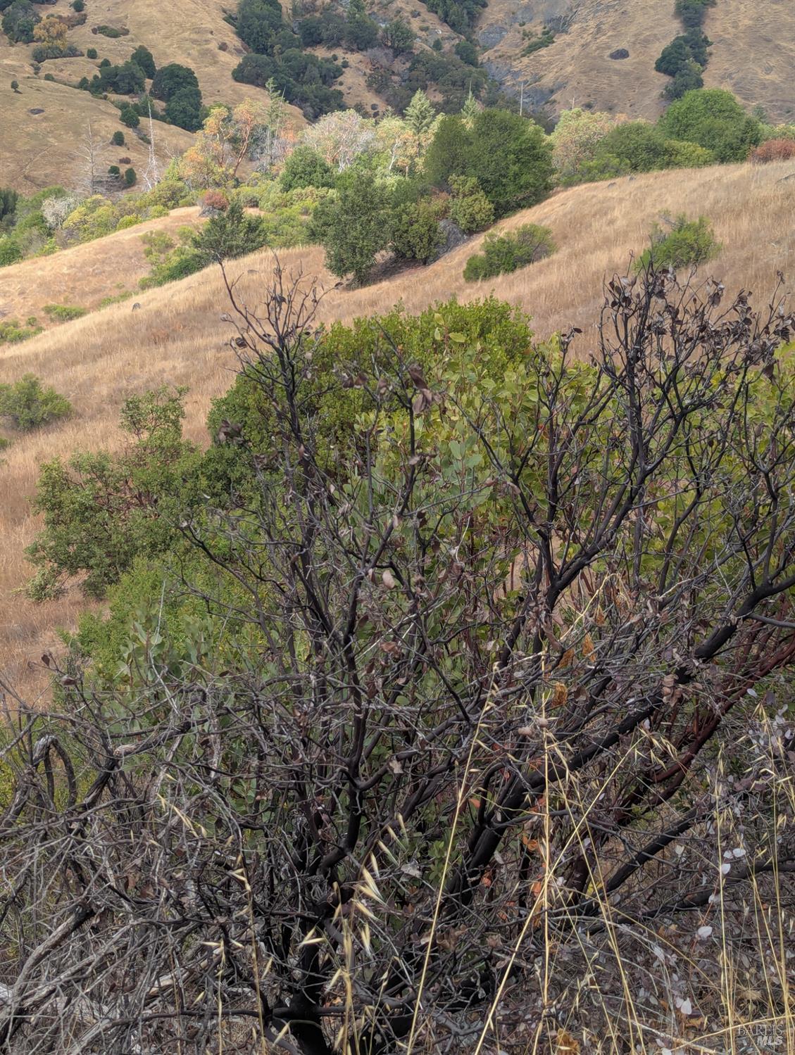 59202 George Washington Rock Road Laytonville CA 95585