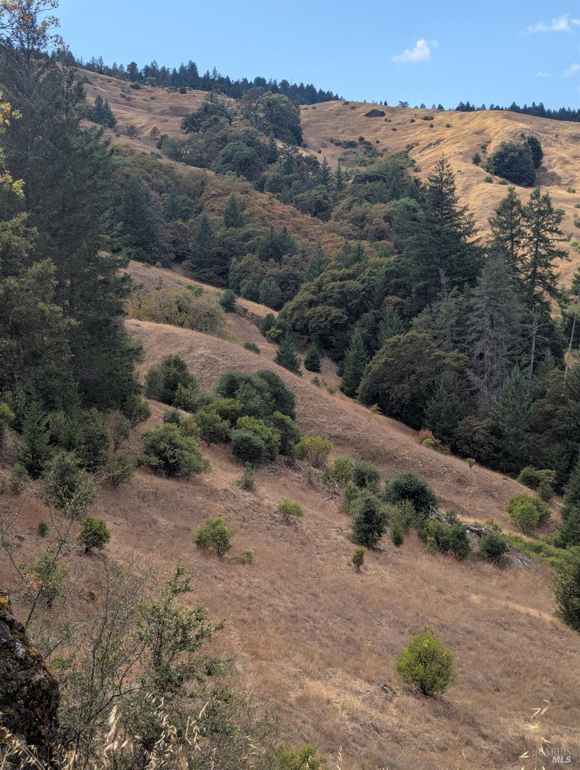 59202 George Washington Rock Road Laytonville CA 95585