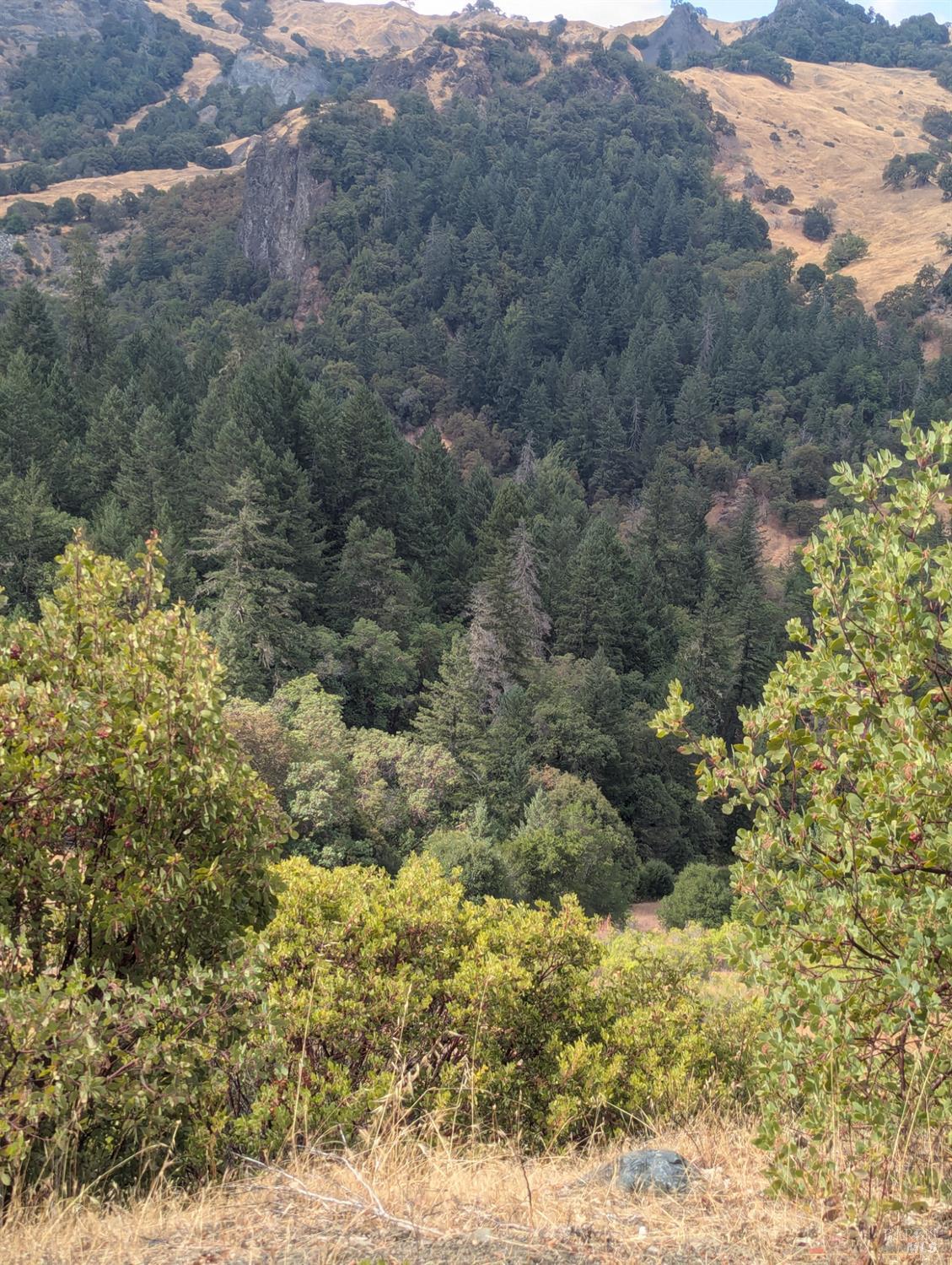 59202 George Washington Rock Road Laytonville CA 95585