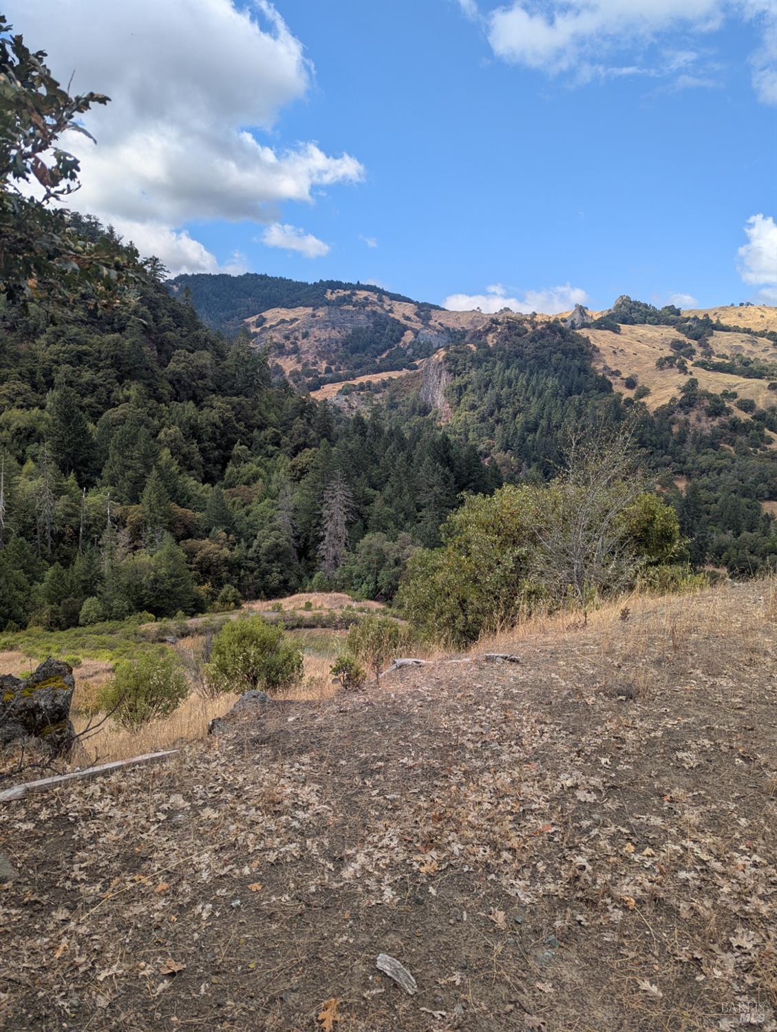 59202 George Washington Rock Road Laytonville CA 95585
