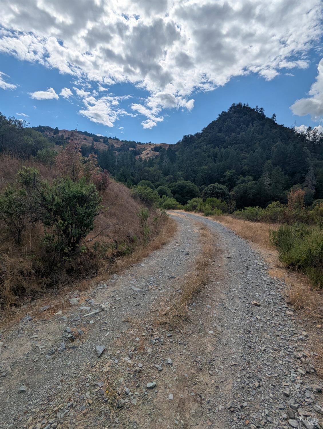 59202 George Washington Rock Road Laytonville CA 95585