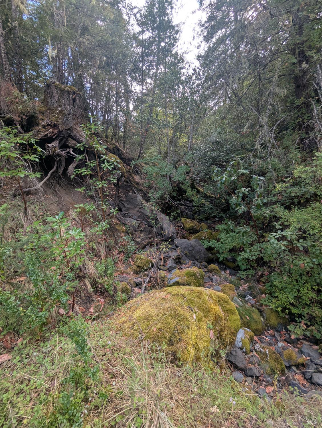 59202 George Washington Rock Road Laytonville CA 95585