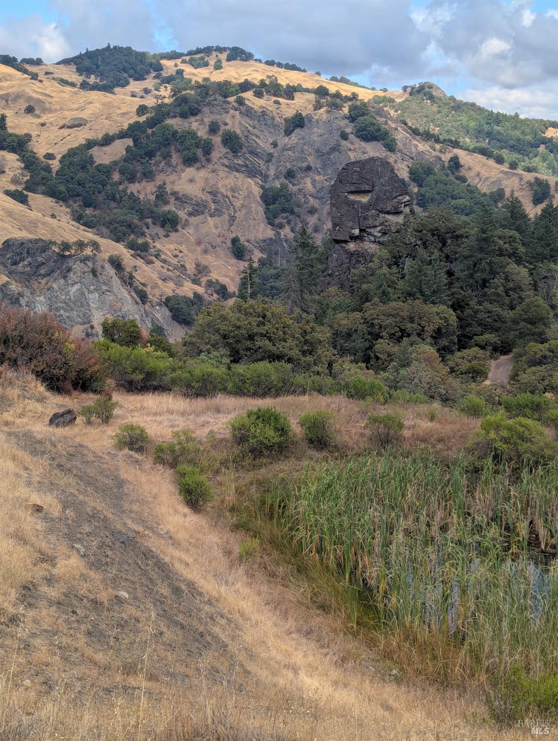 59202 George Washington Rock Road Laytonville CA 95585