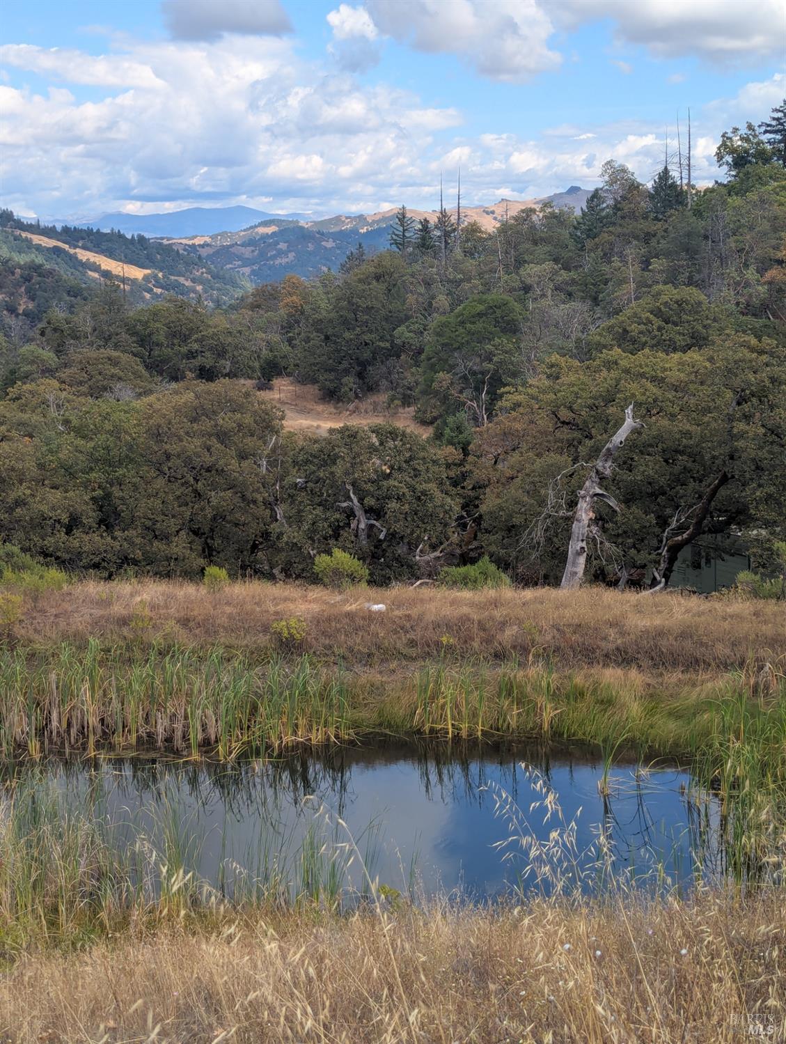 59202 George Washington Rock Road Laytonville CA 95585