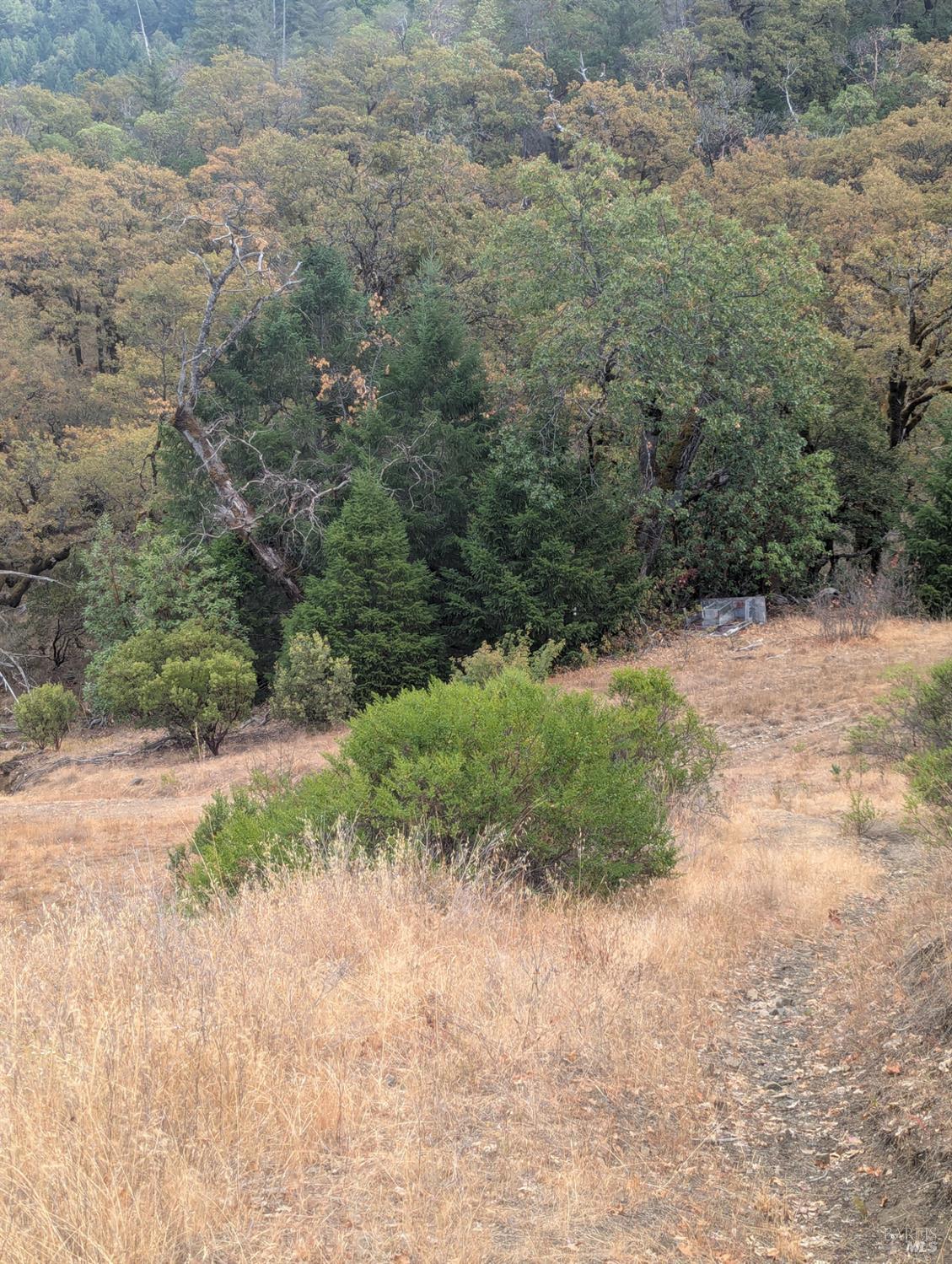 59202 George Washington Rock Road Laytonville CA 95585