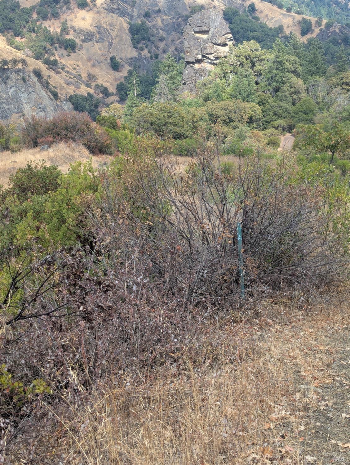 59202 George Washington Rock Road Laytonville CA 95585