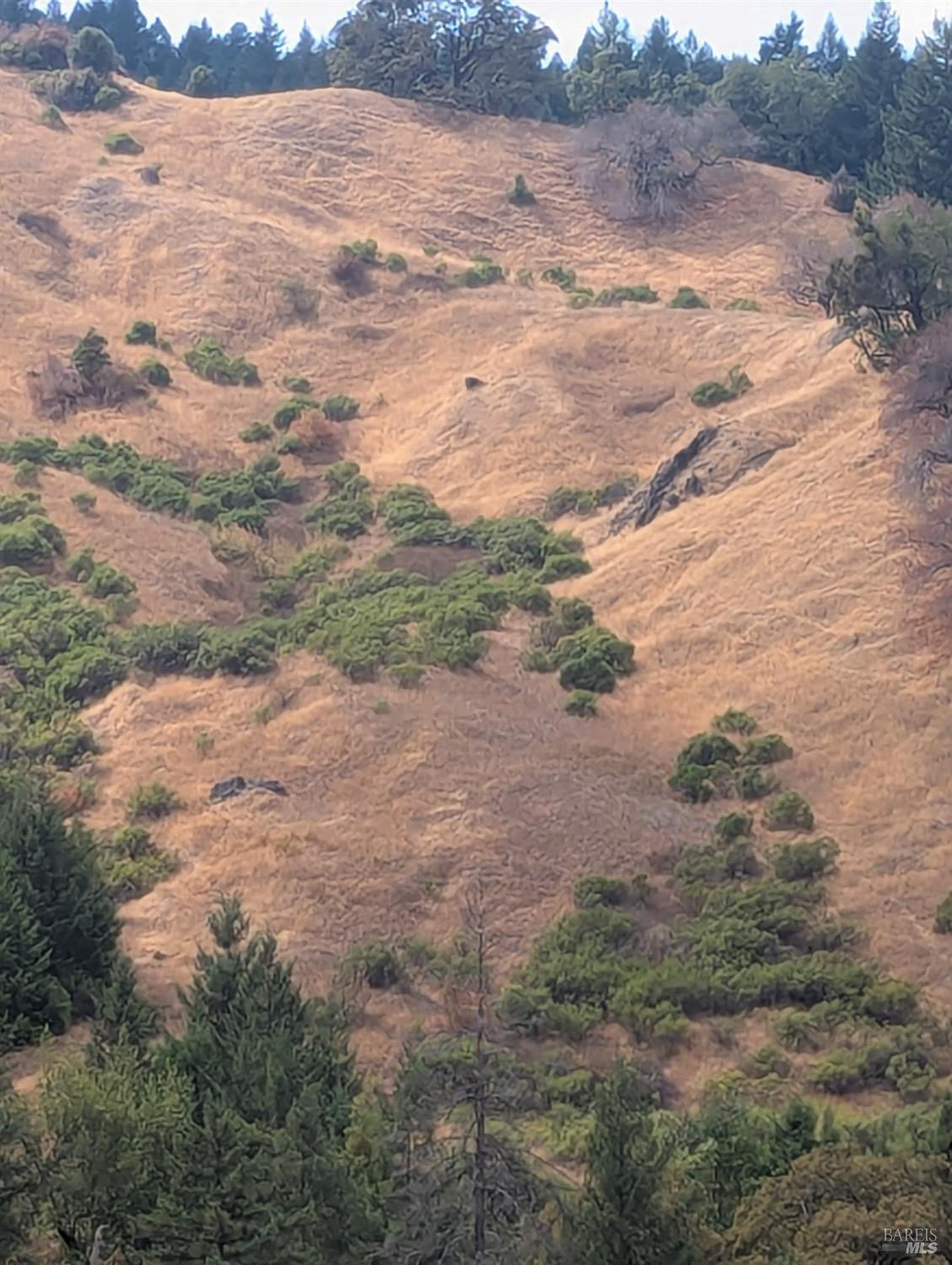 59202 George Washington Rock Road Laytonville CA 95585