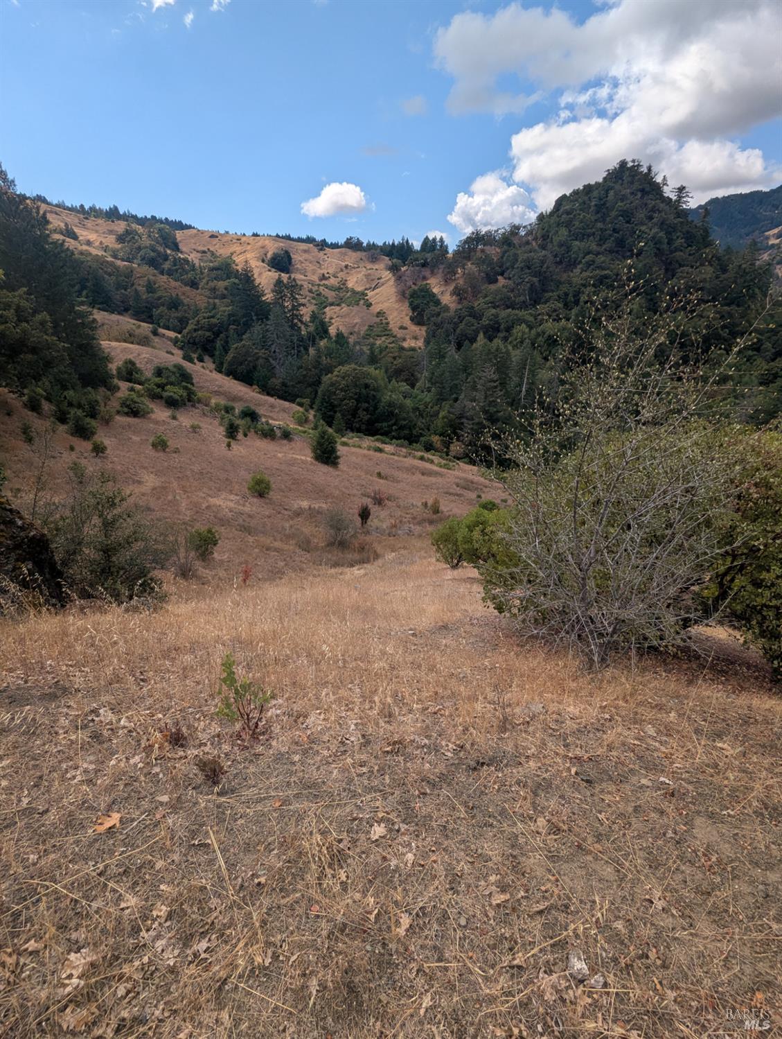 59202 George Washington Rock Road Laytonville CA 95585