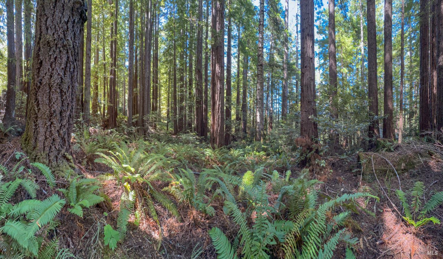 36505 Deep Woods Drive The Sea Ranch CA 95497