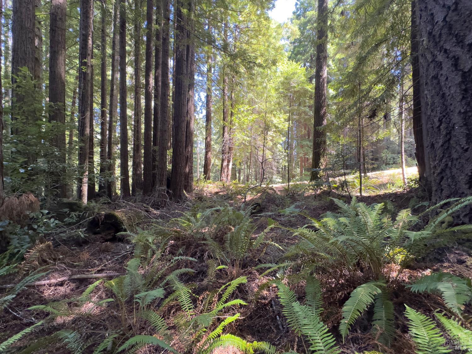 36505 Deep Woods Drive The Sea Ranch CA 95497