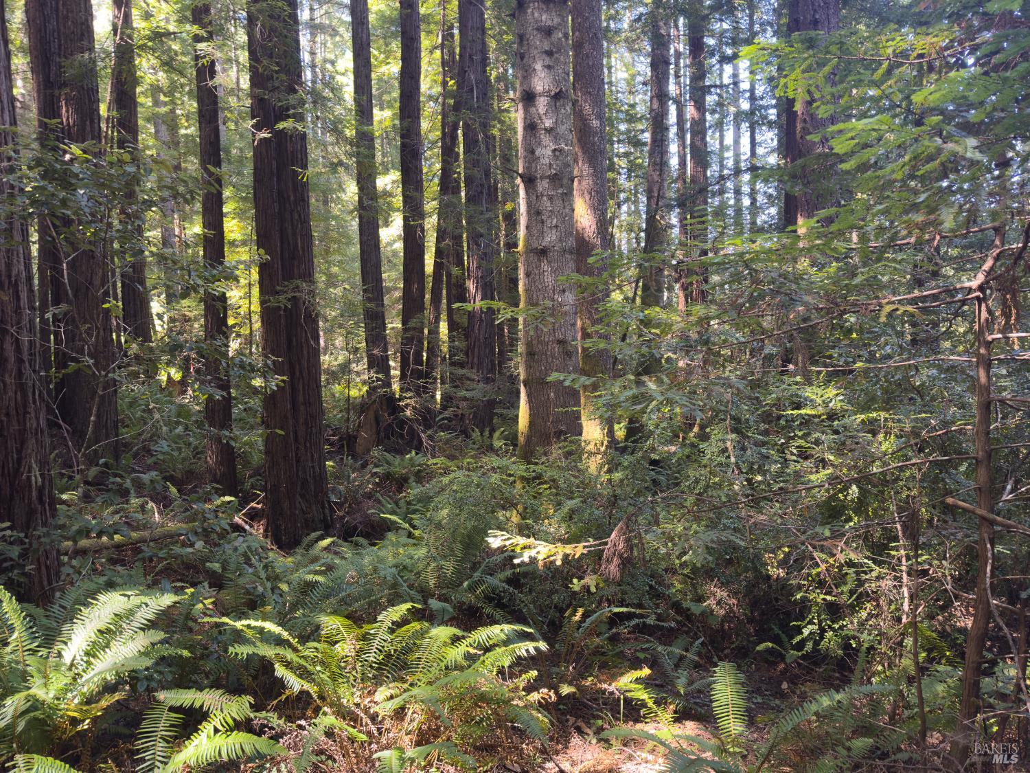 36505 Deep Woods Drive The Sea Ranch CA 95497
