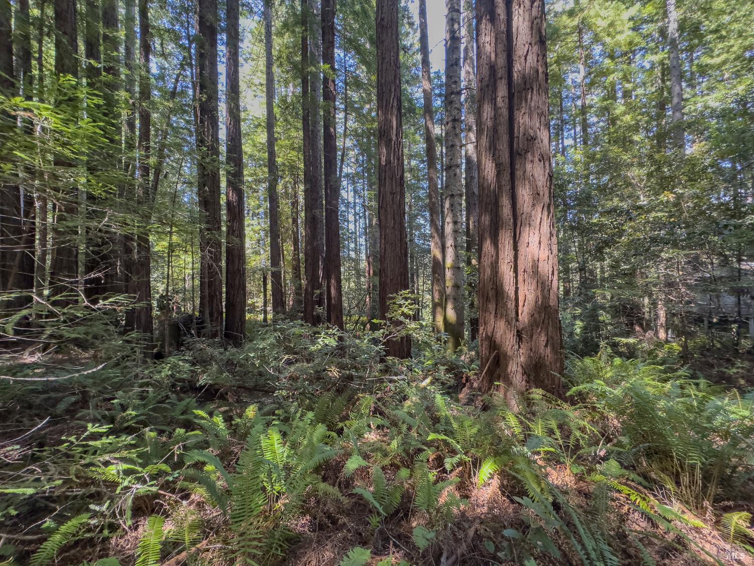 36505 Deep Woods Drive The Sea Ranch CA 95497