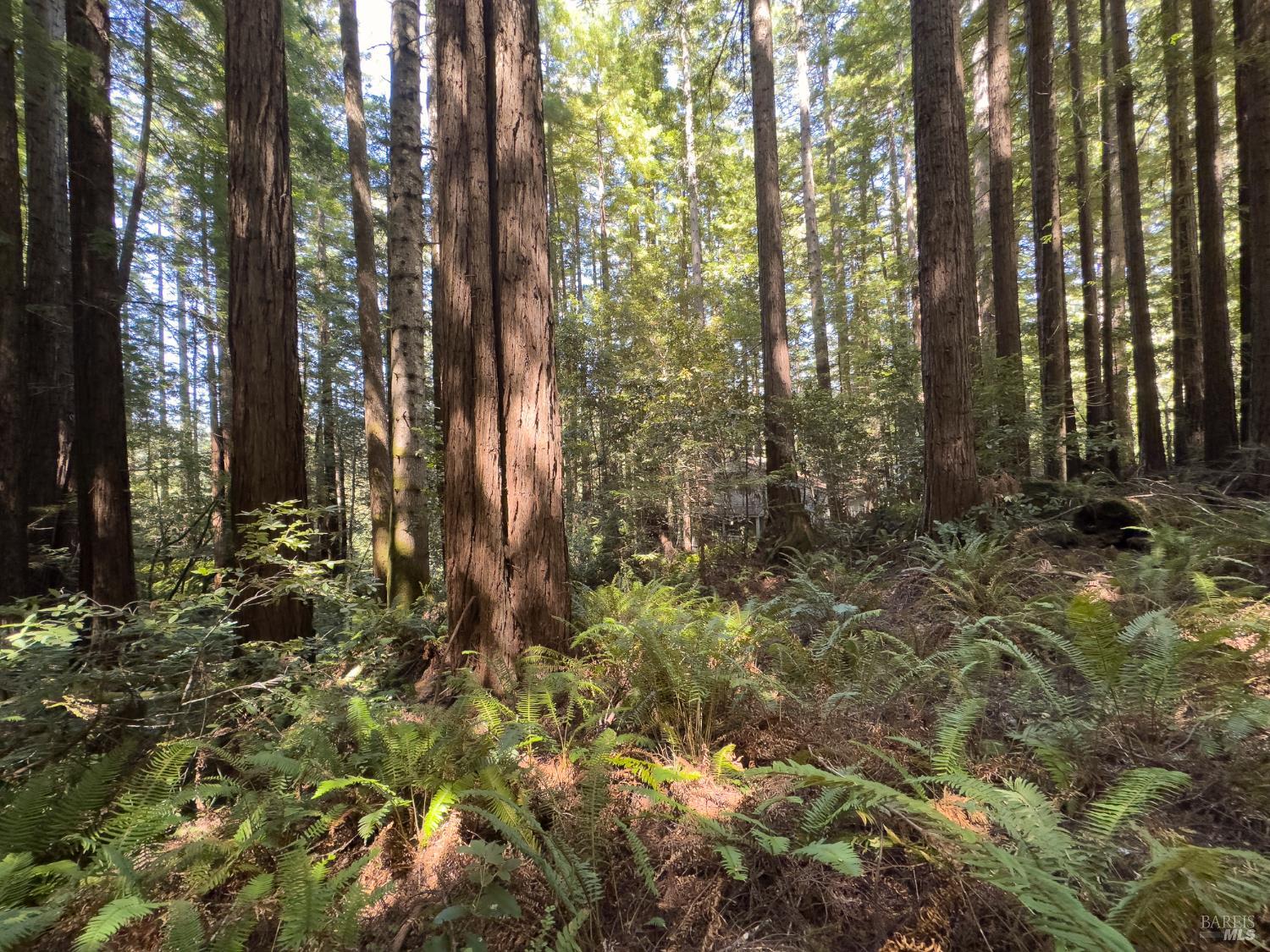 36505 Deep Woods Drive The Sea Ranch CA 95497