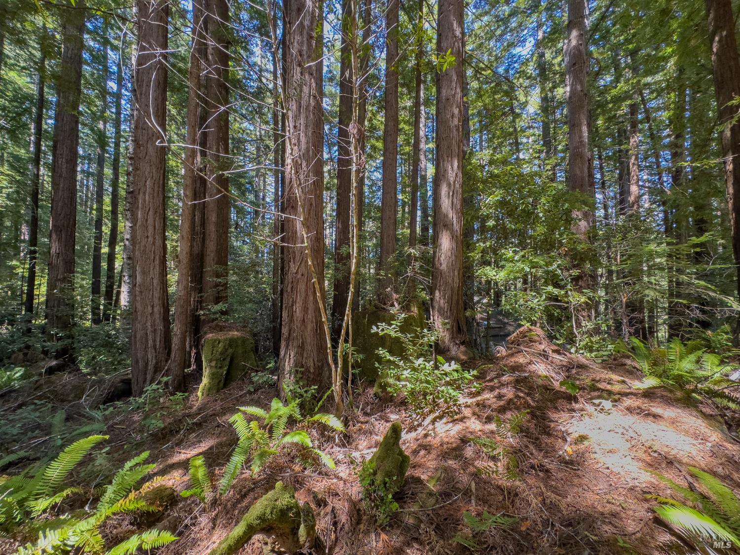 36505 Deep Woods Drive The Sea Ranch CA 95497