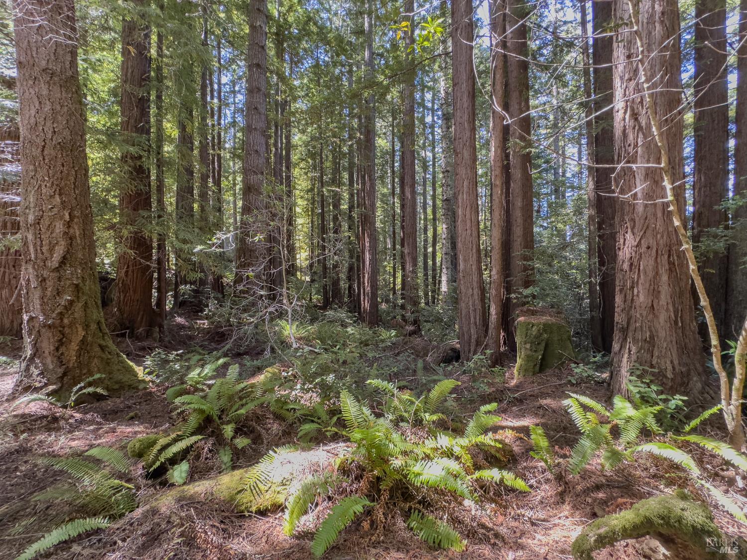 36505 Deep Woods Drive The Sea Ranch CA 95497
