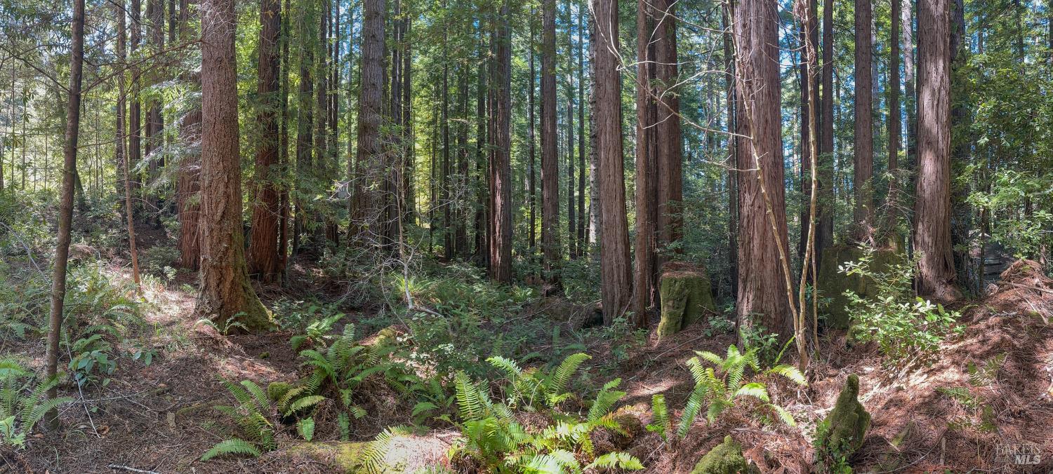 36505 Deep Woods Drive The Sea Ranch CA 95497