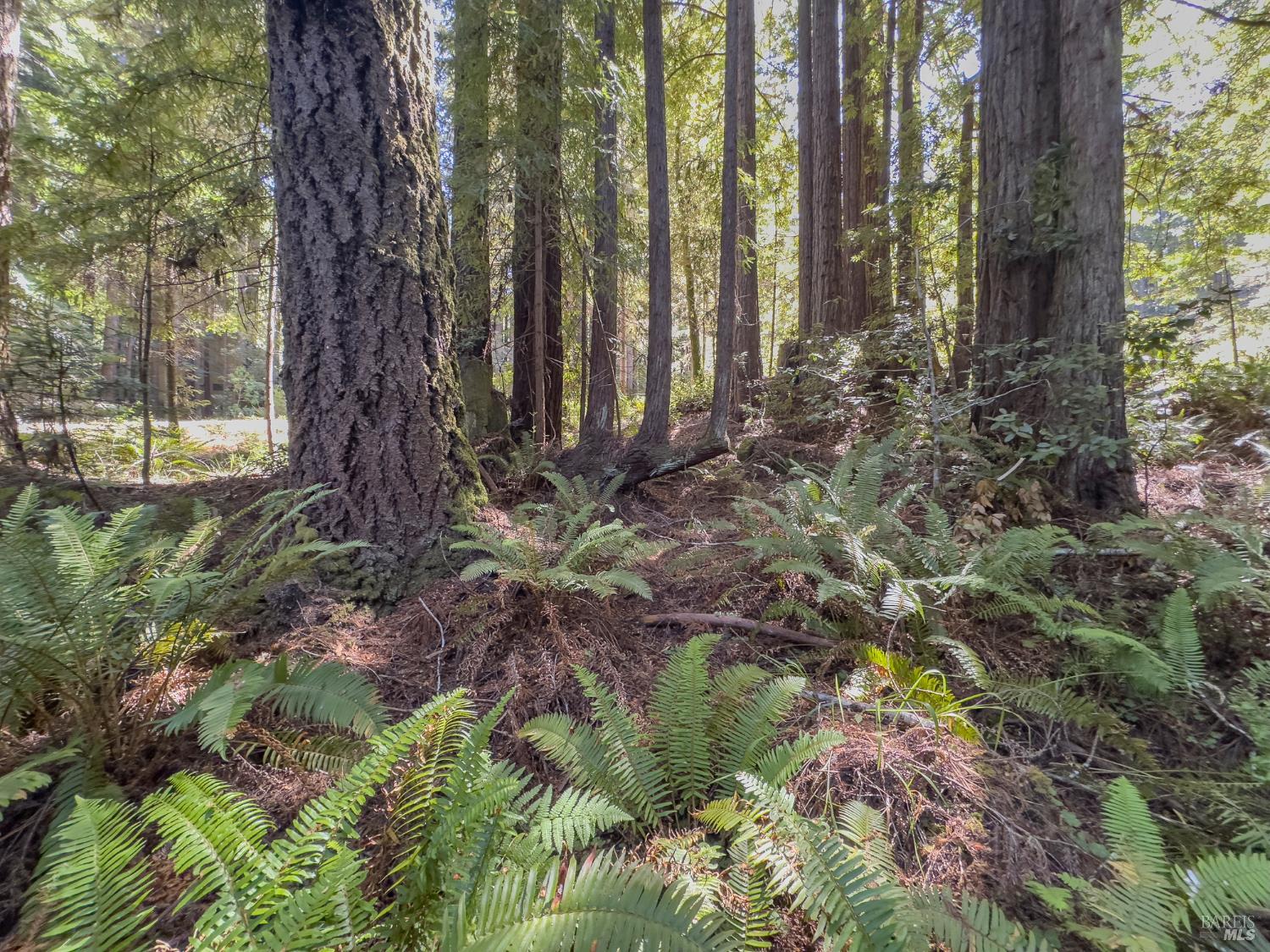 36505 Deep Woods Drive The Sea Ranch CA 95497
