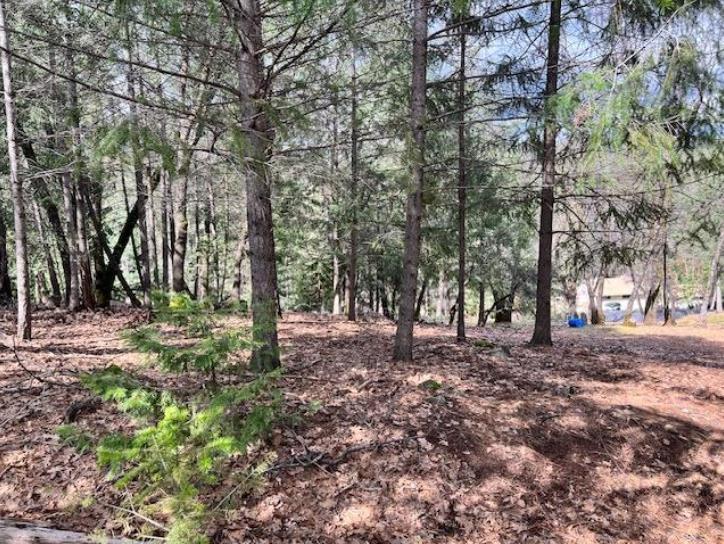 6414 Green Leaf Lane Foresthill CA 95631
