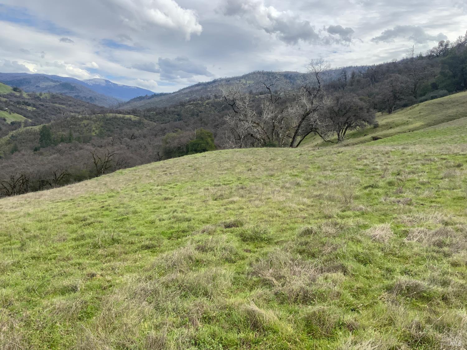 78500 Mexico Ridge Road Covelo CA 95428