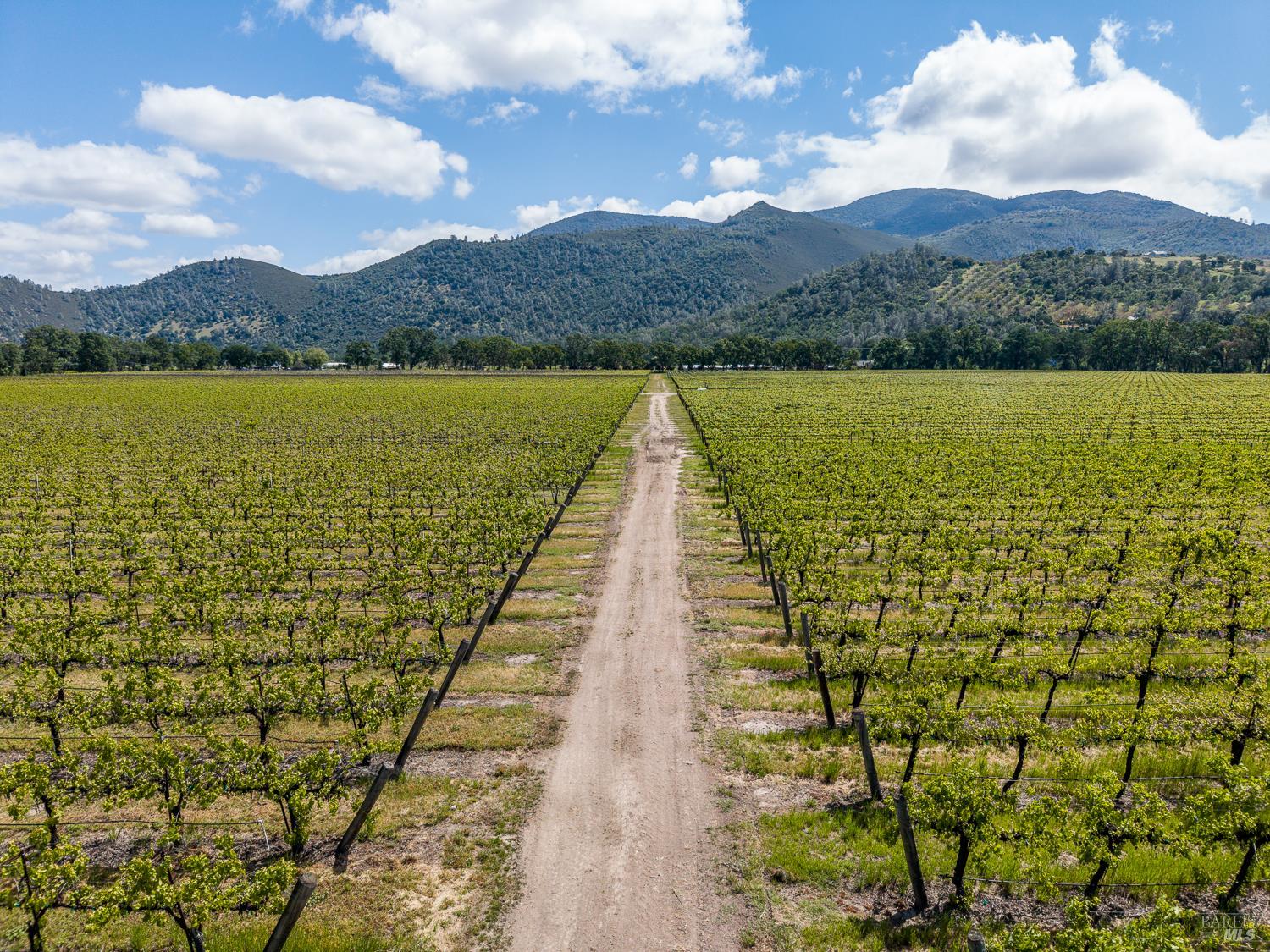 4500 Clark Drive Kelseyville CA 95451