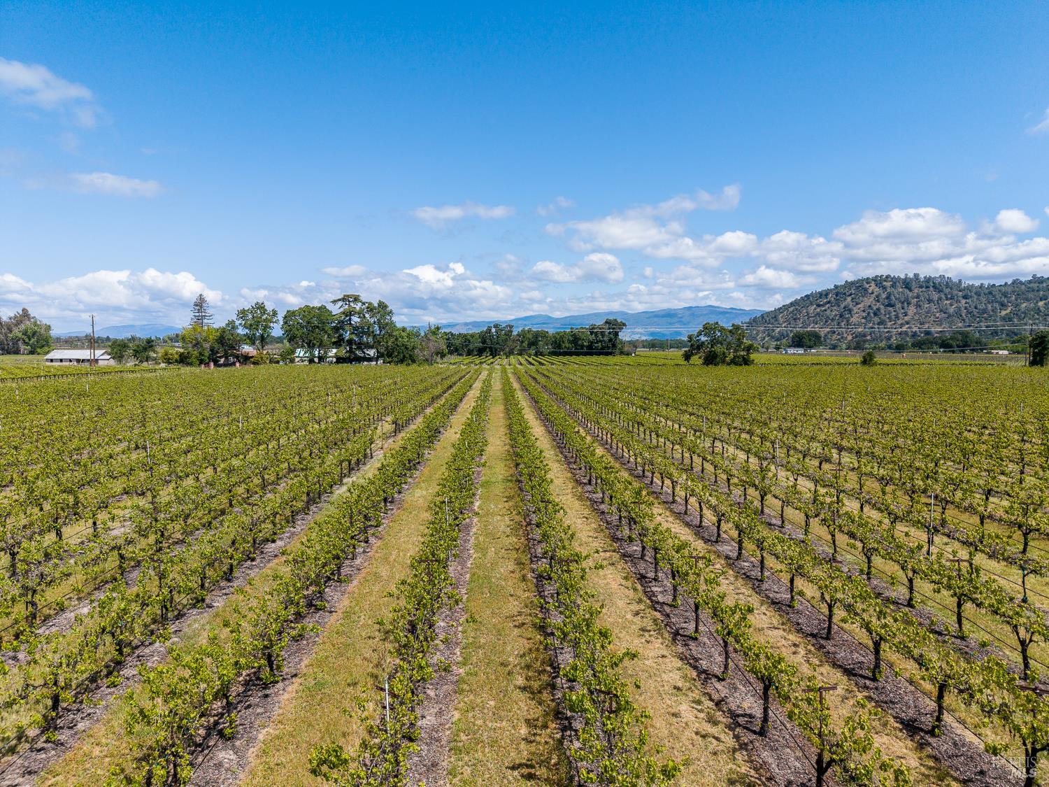 4500 Clark Drive Kelseyville CA 95451