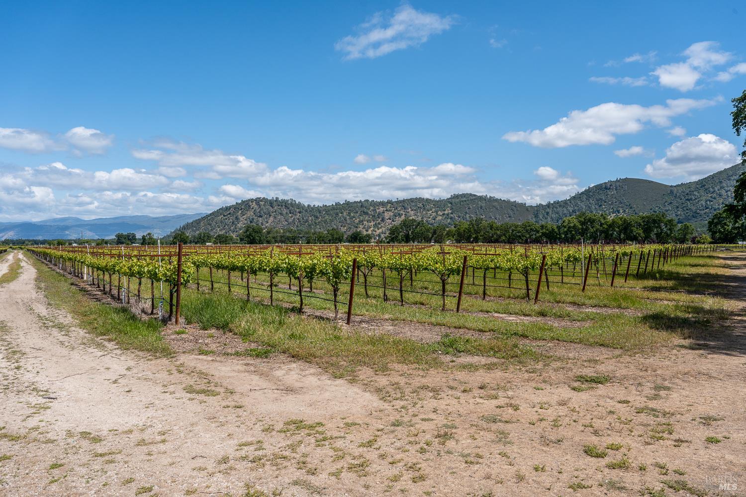 4500 Clark Drive Kelseyville CA 95451