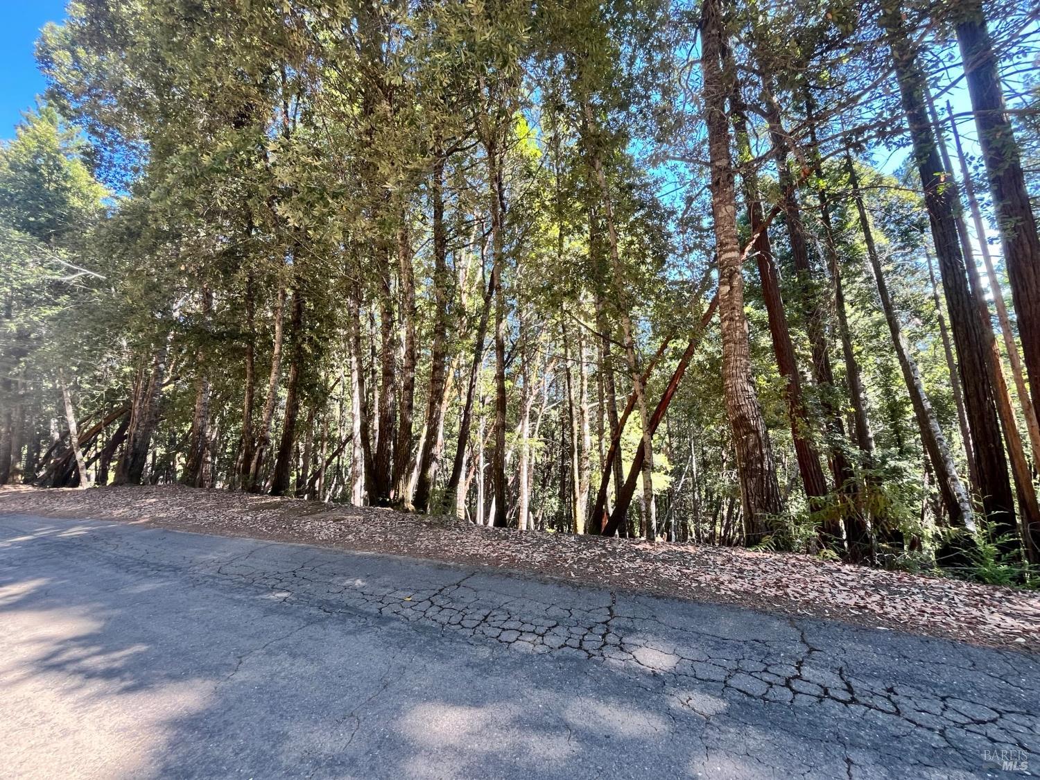 26093 Otter Drive Willits CA 95490