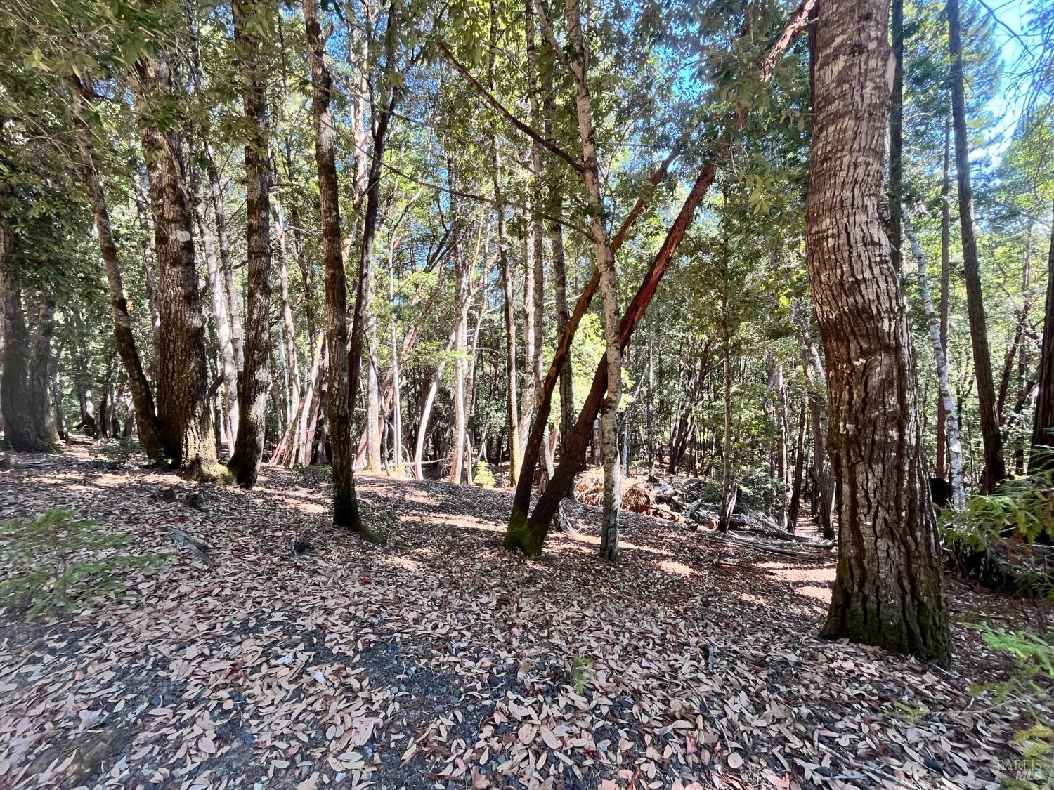 26093 Otter Drive Willits CA 95490
