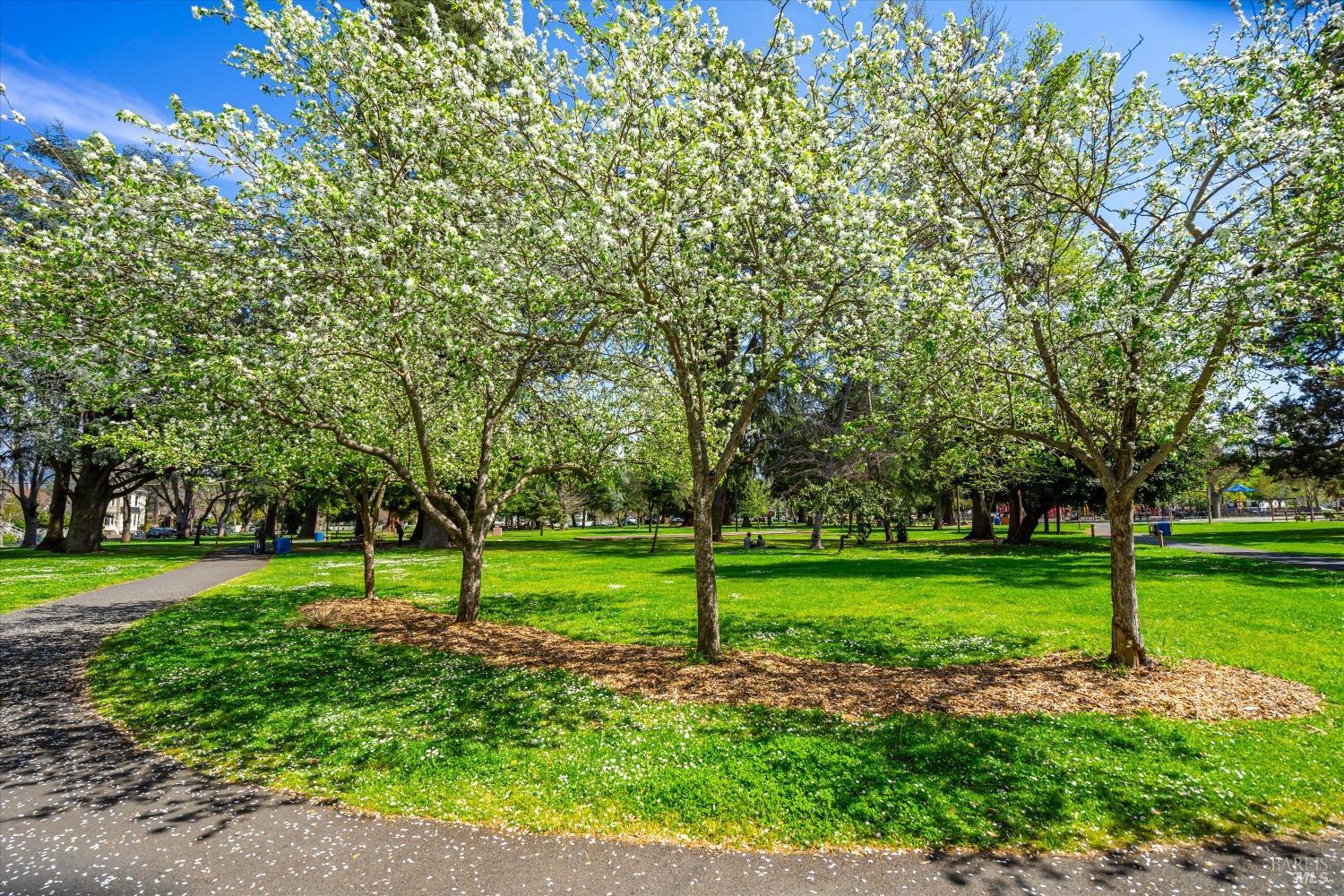 1777 Mckinley Road Napa CA 94558