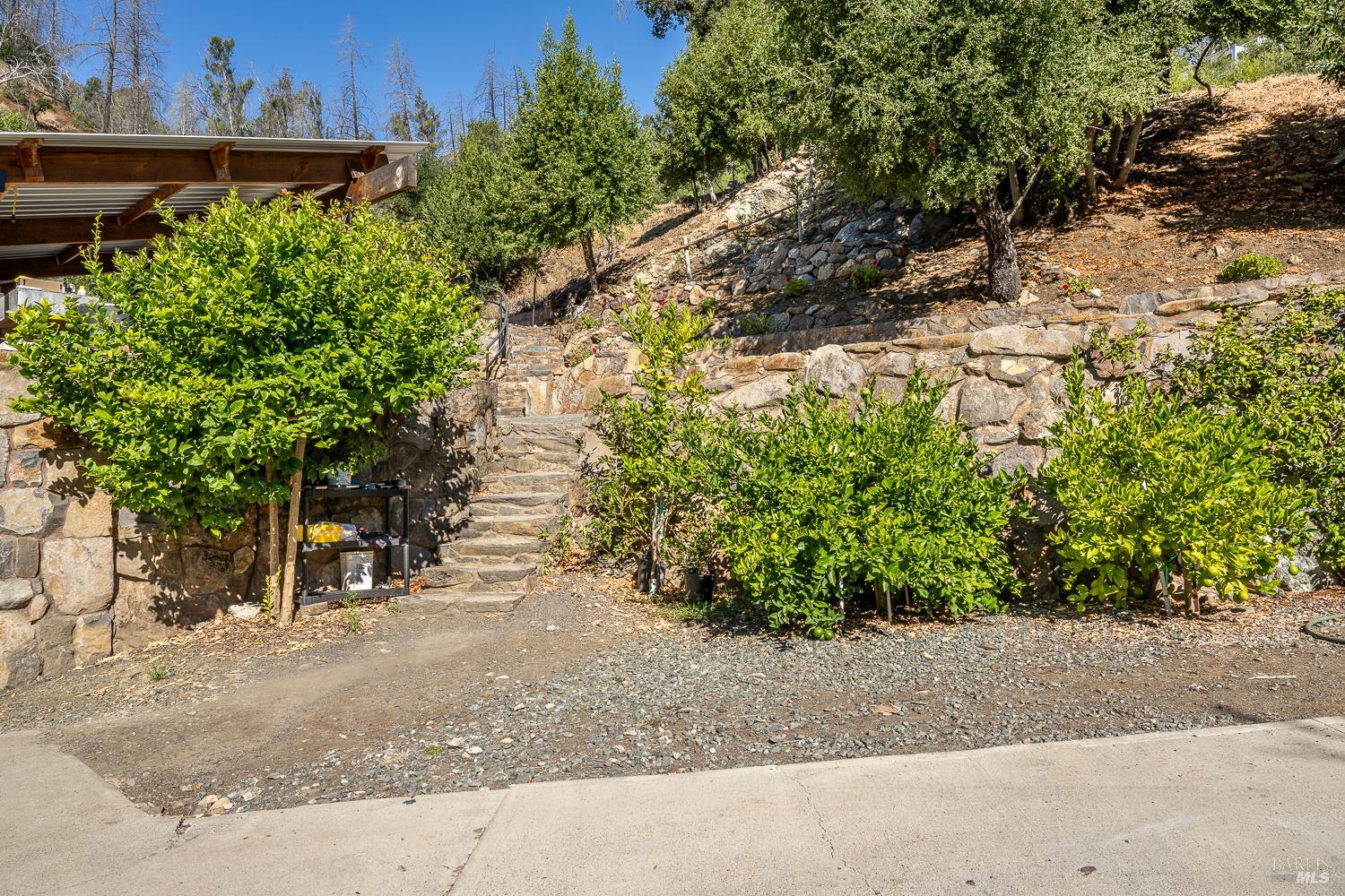 1443 Cougar Lane Santa Rosa CA 95409