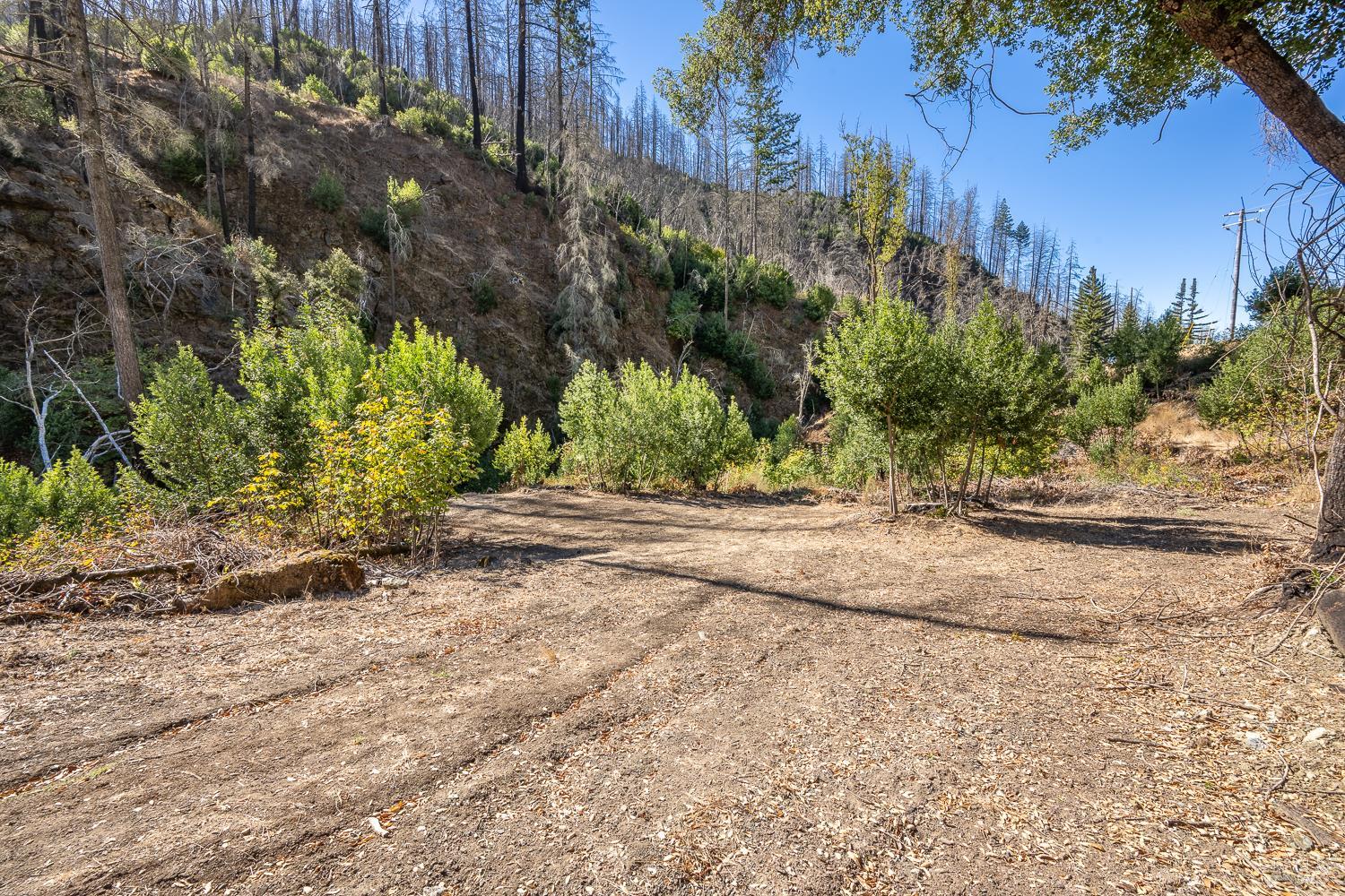 1443 Cougar Lane Santa Rosa CA 95409