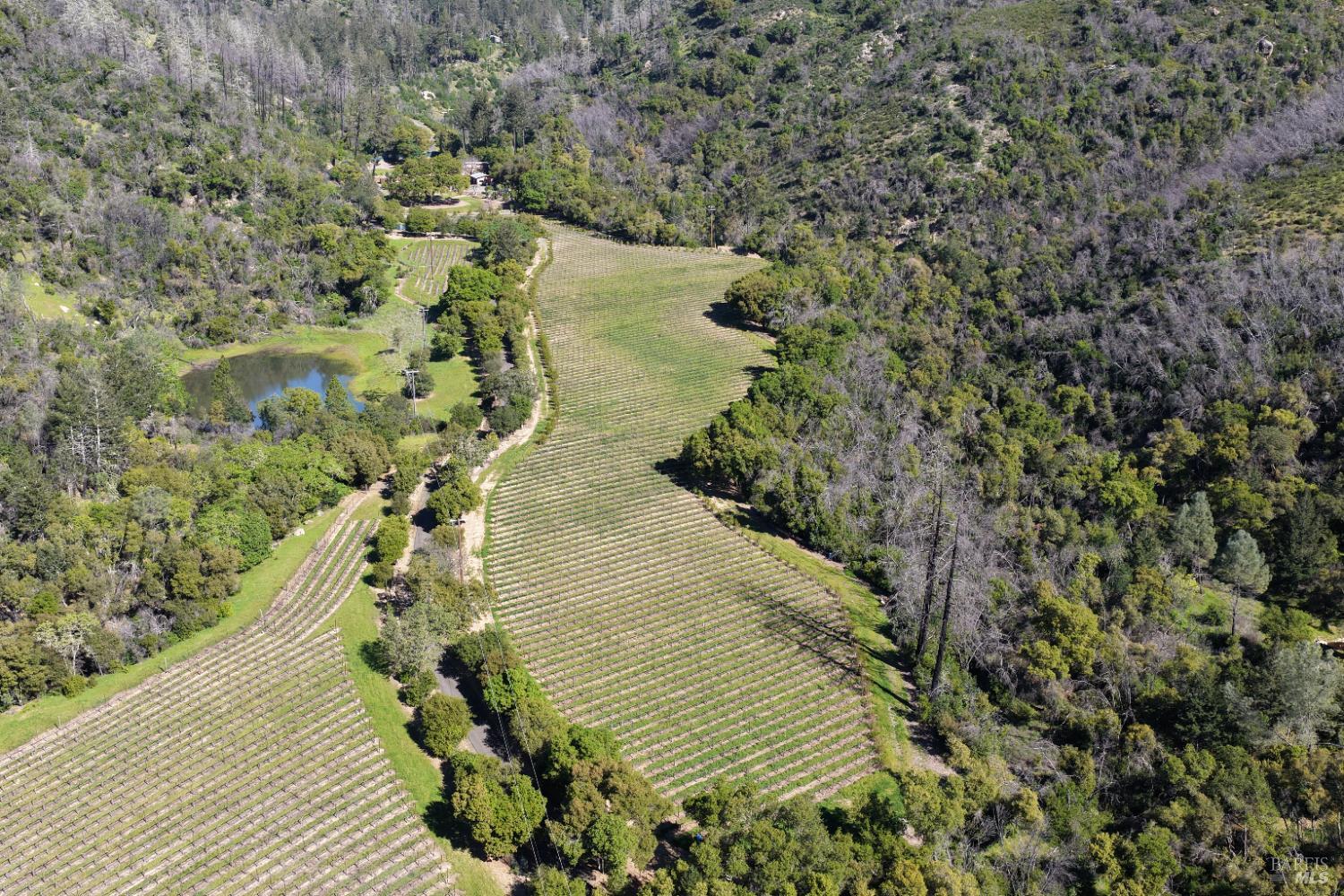 255 Dutch Henry Canyon Road Calistoga CA 94515