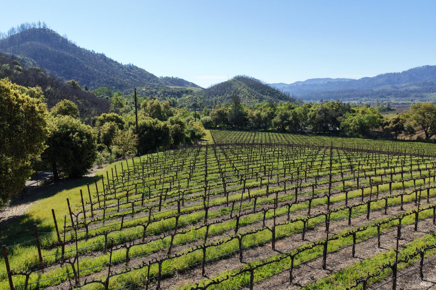 255 Dutch Henry Canyon Road Calistoga CA 94515