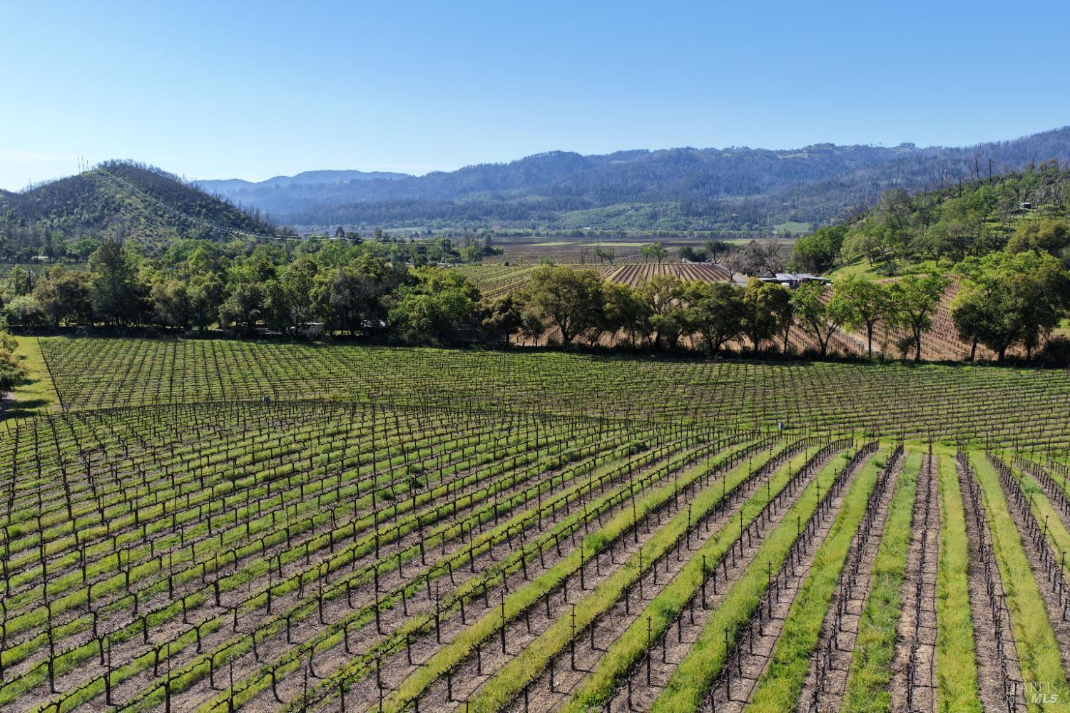 255 Dutch Henry Canyon Road Calistoga CA 94515