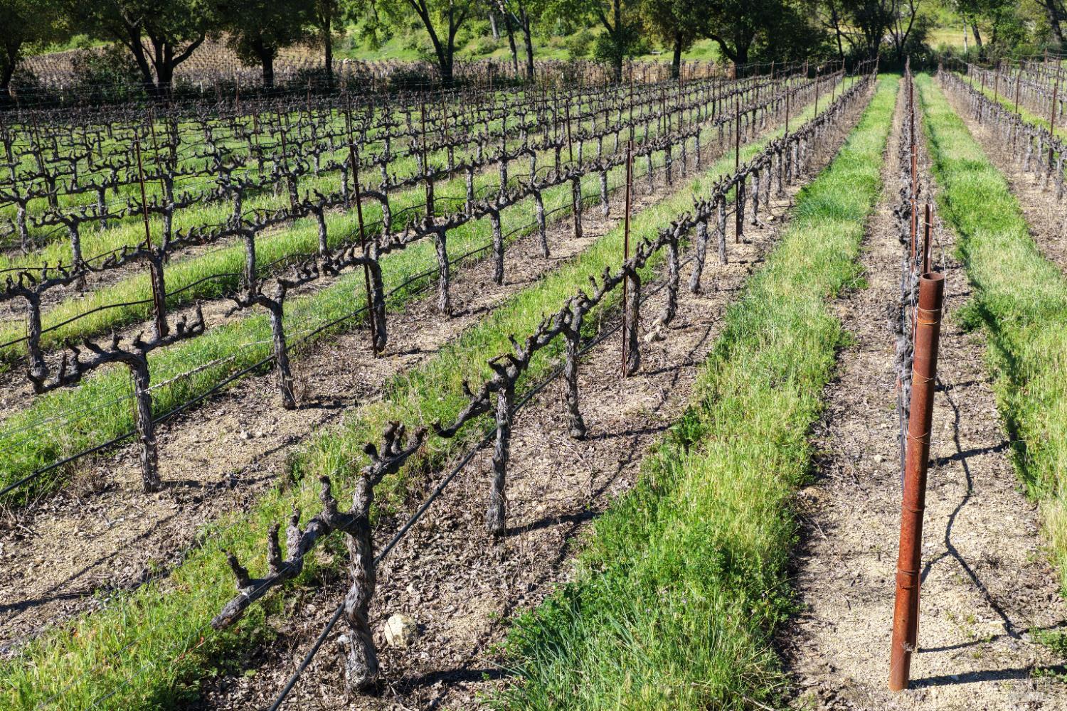255 Dutch Henry Canyon Road Calistoga CA 94515