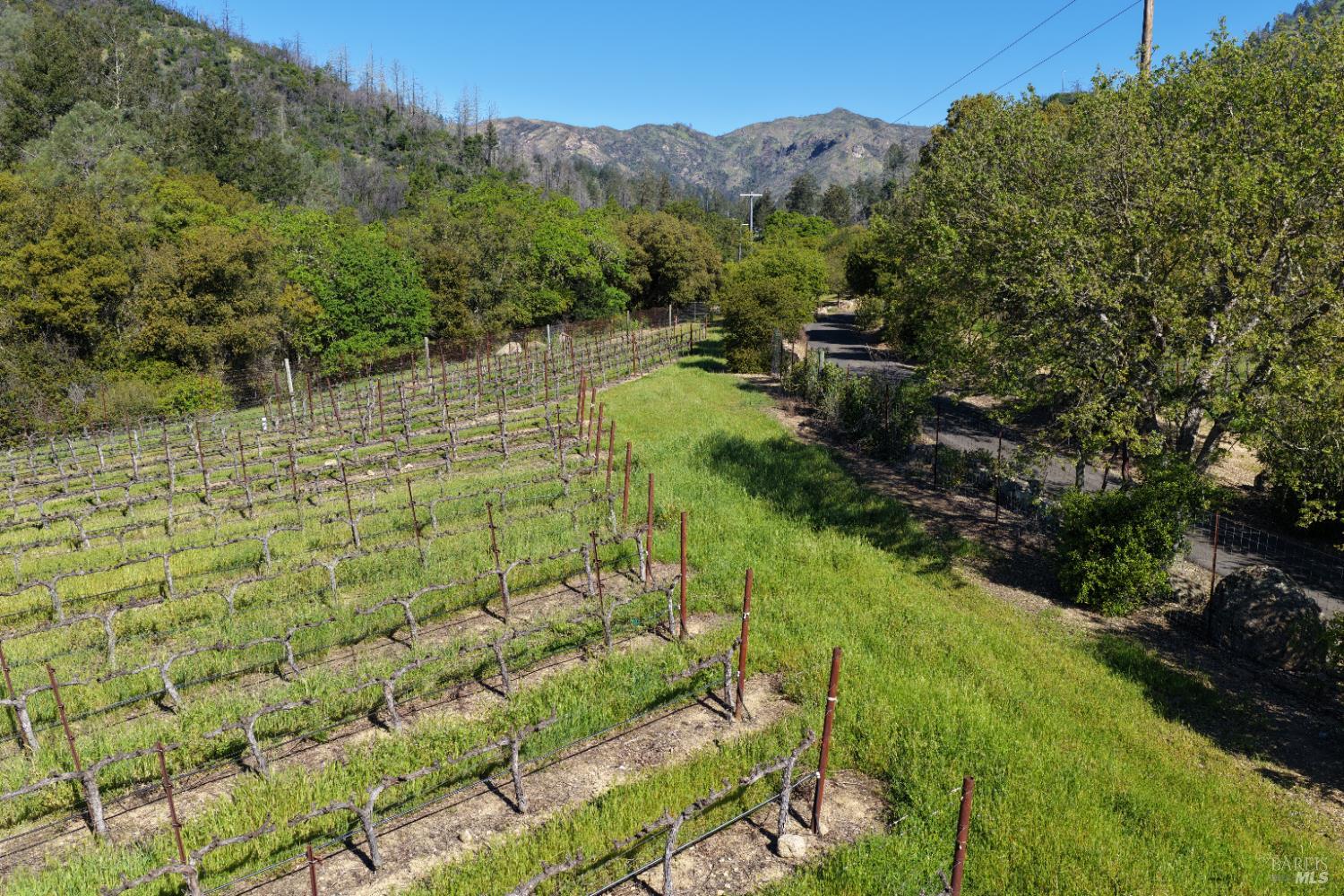 255 Dutch Henry Canyon Road Calistoga CA 94515