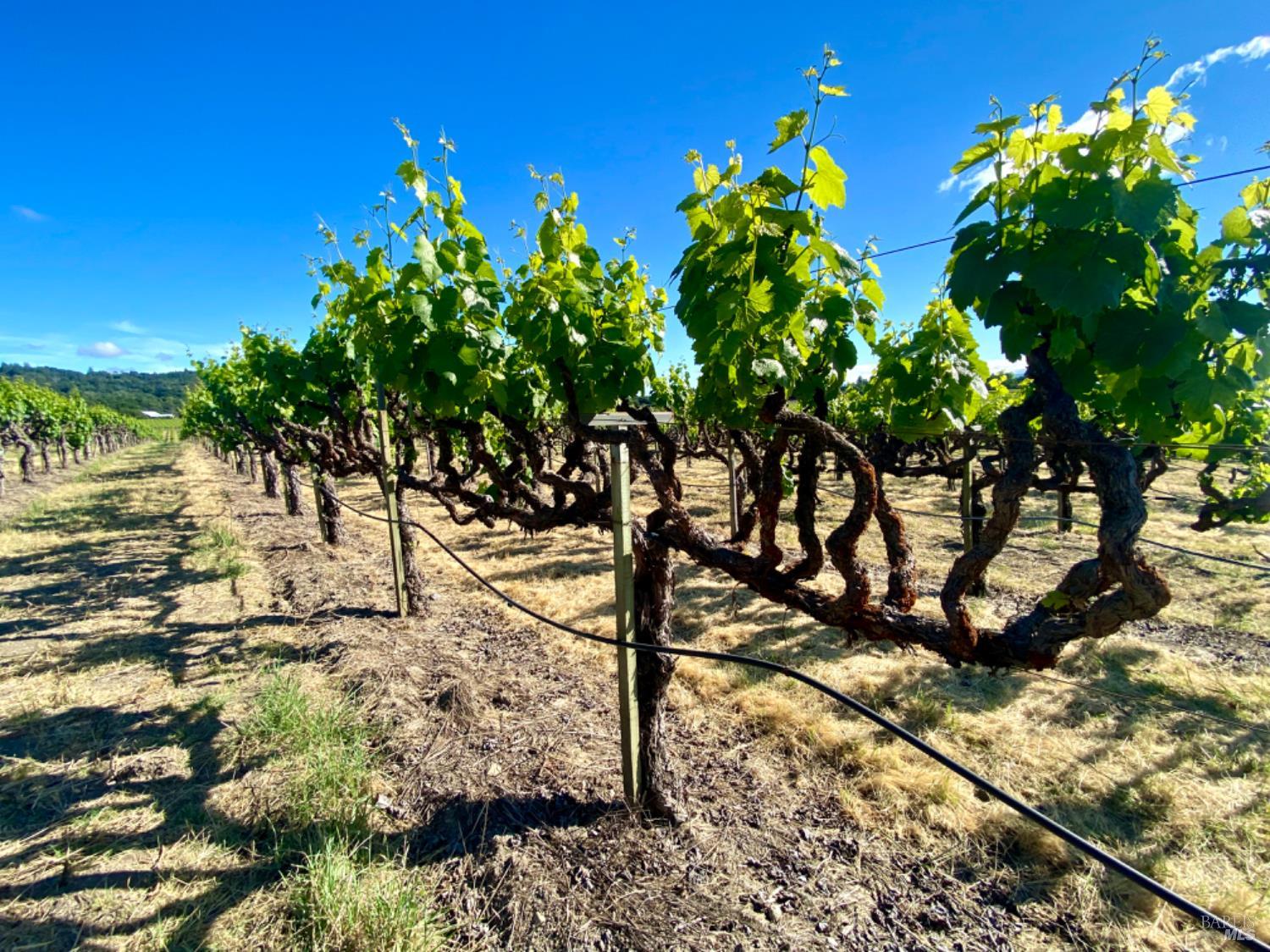 0 Pleasant Avenue Santa Rosa CA 95403