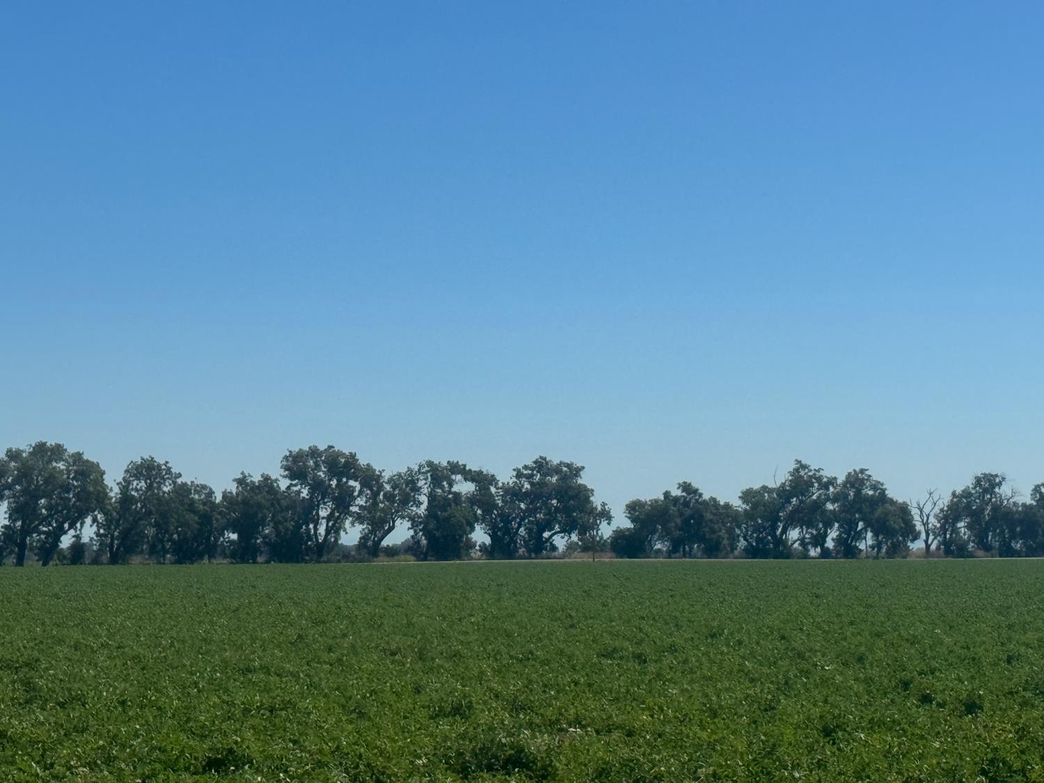 10115 County Road 97 Woodland CA 95695