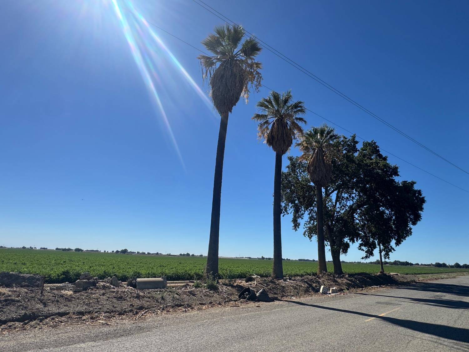 10115 County Road 97 Woodland CA 95695