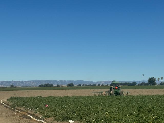 10115 County Road 97 Woodland CA 95695