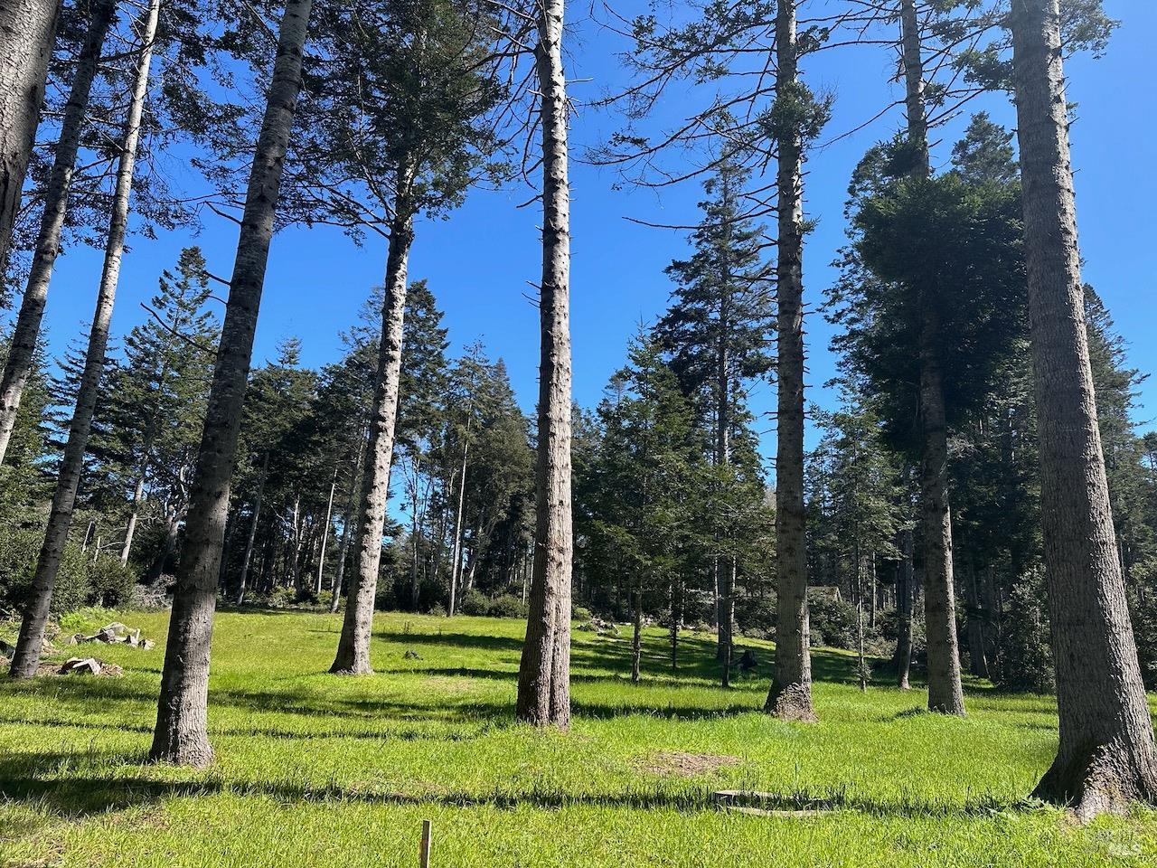 26555 N Highway 1 Fort Bragg CA 95437