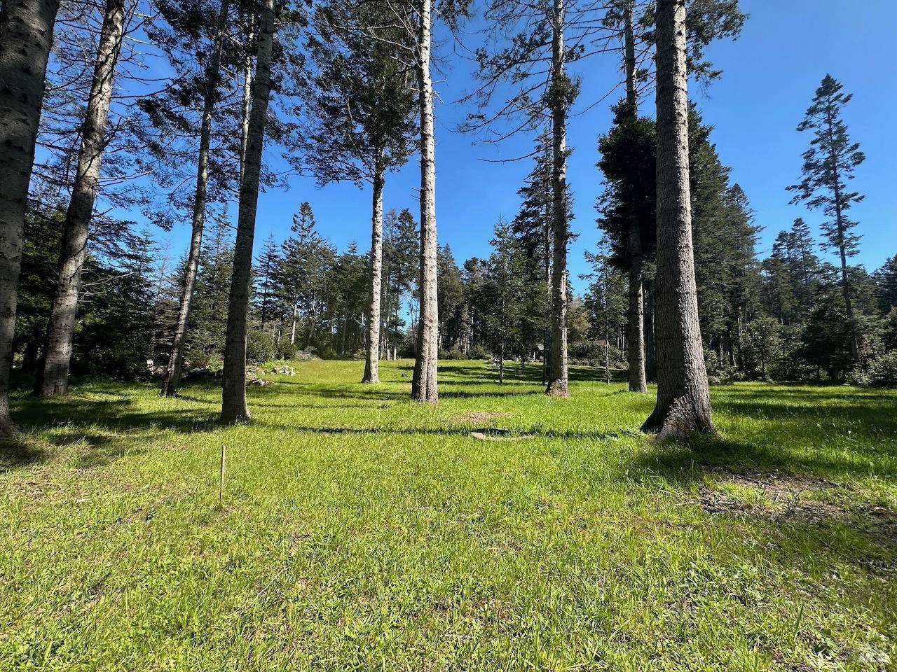 26555 N Highway 1 Fort Bragg CA 95437