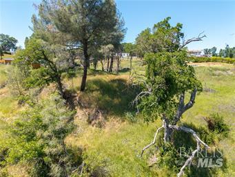 17105 Deer Park Drive Lower Lake CA 95457