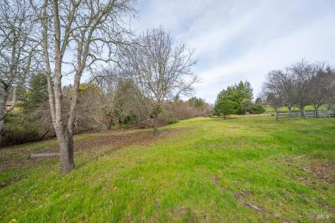 790 Ferguson Road Sebastopol CA 95472