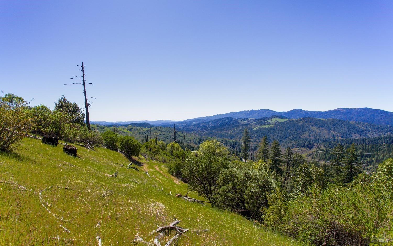 53310 Highway 101 Highway Laytonville CA 95454